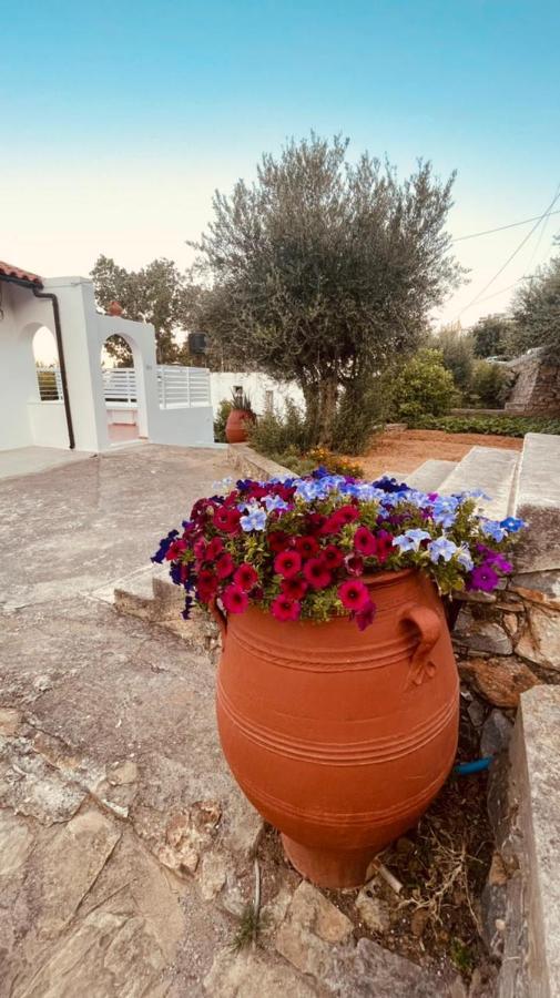 Havania Studio Agios Nikolaos Esterno foto